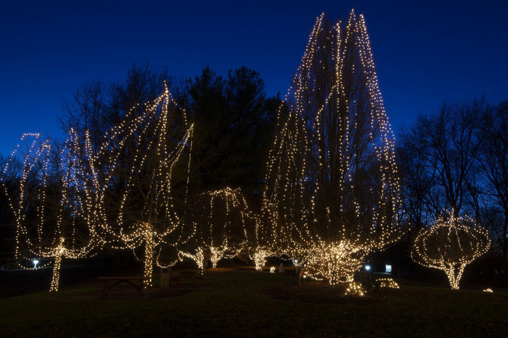 Way of Lights holiday light display at the National Shrine of Our Lady of the Snows